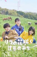 丁香花电视剧高清免费